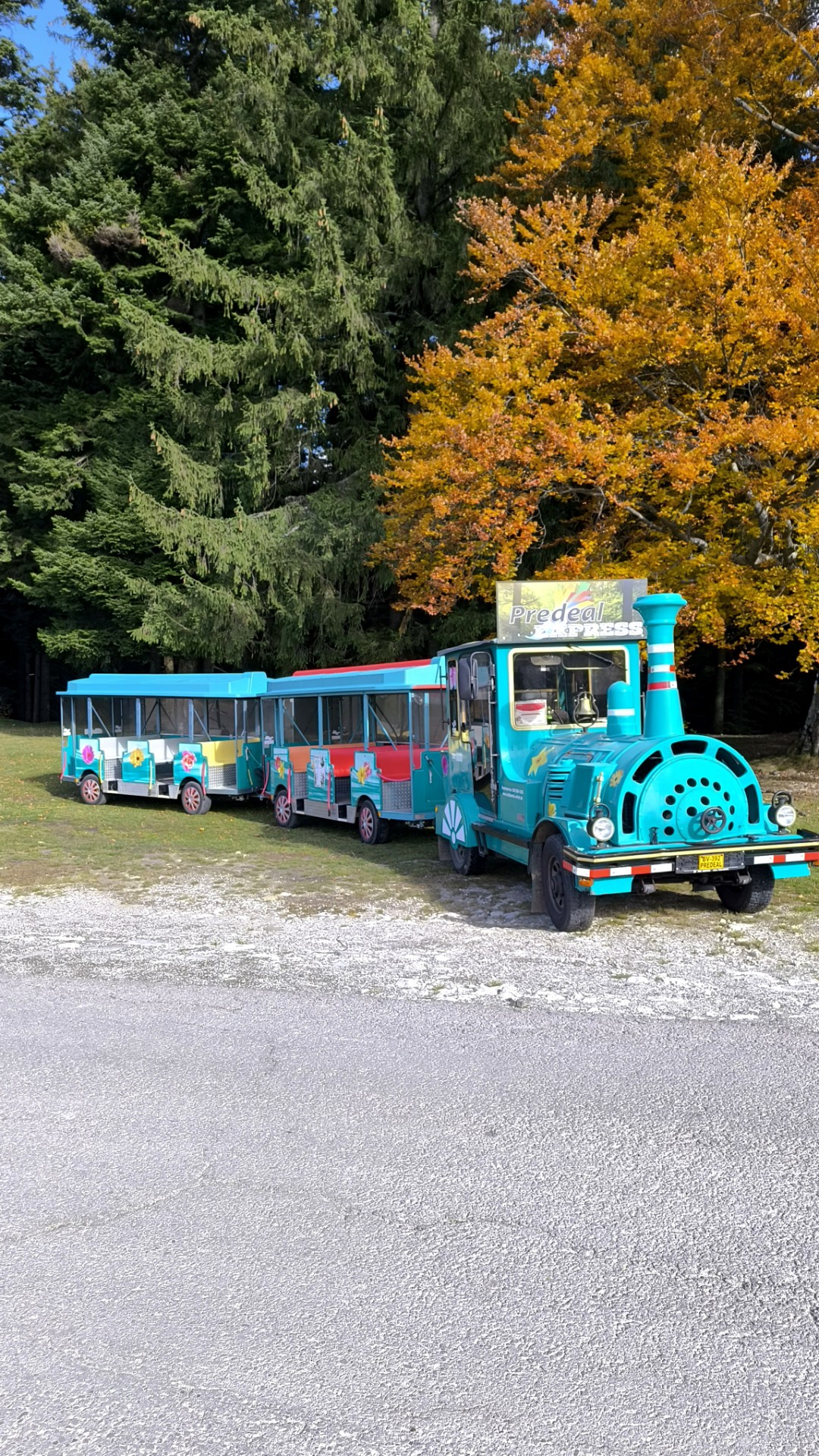 Trenuleț turistic Predeal Express - Trei Brazi